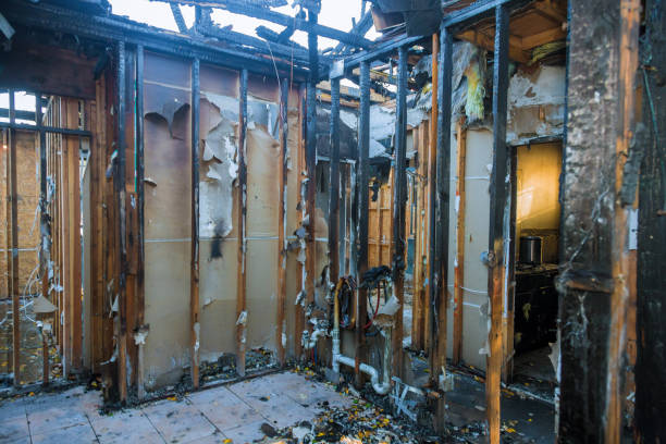 Professional Fire Damage Removal technician working in Valrico, FL