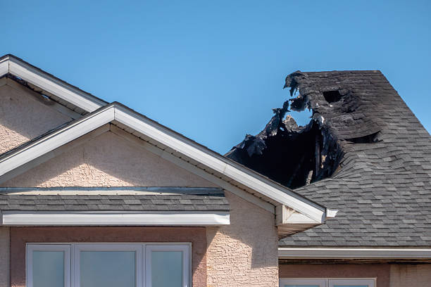 Top rated local Fire Damage Removal specialists in Valrico, FL